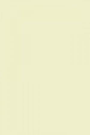 FARROW AND BALL TUNSGATE GREEN NO. 250 PAINT